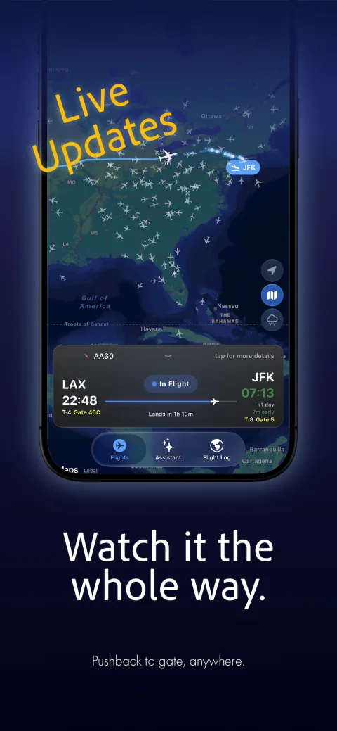 True Skies — Flight tracker
